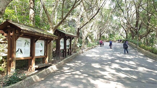 青年公園是丹鳳里的特色公園，腹地廣大，亦有登山步道穿插其中。圖／取自新北市旅遊網官網
