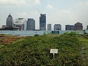 綠屋頂計畫啟動　申請容積獎勵須綠化
