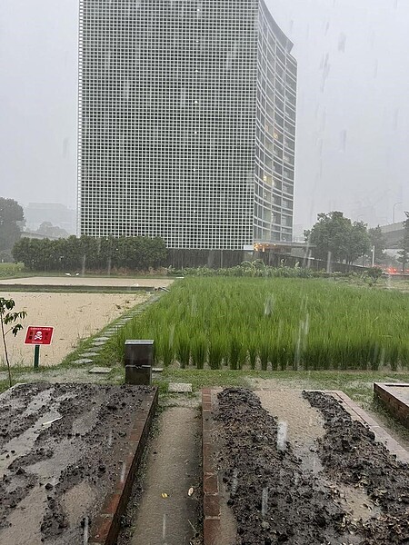 吳建德里長建設田園城市，在繁華的城市中闢出一處田園風光。圖／取自吳建德里長臉書專頁