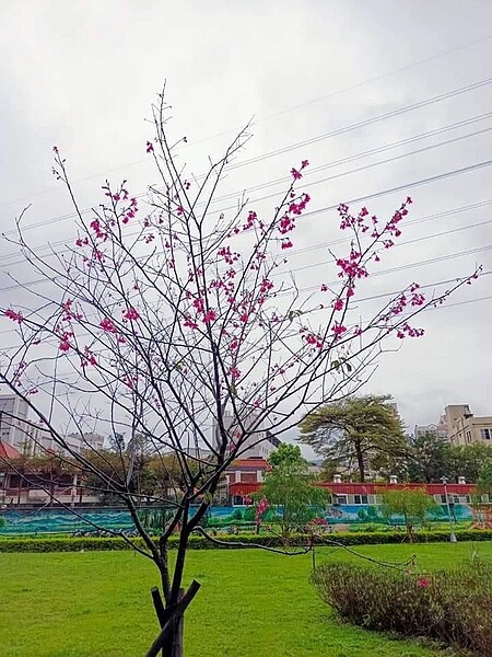 近郊半日遊。圖／易小滿攝
