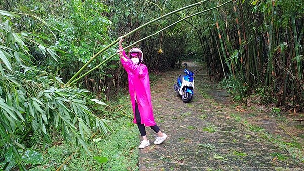 王里長於暴雨過後親上陣線巡視山徑災情，排除路障。圖／取自里長王曉芳臉書專頁