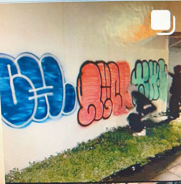 3名男大生日前在大安區、內湖區四處塗鴉，遭警方循線查緝到案開罰。(翻攝照片／林郁平台北傳真）