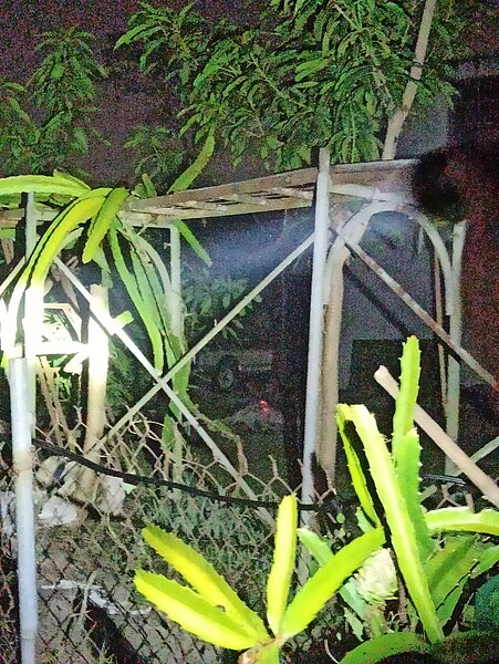 空地內查獲露天燃燒。圖/高雄市環保局提供