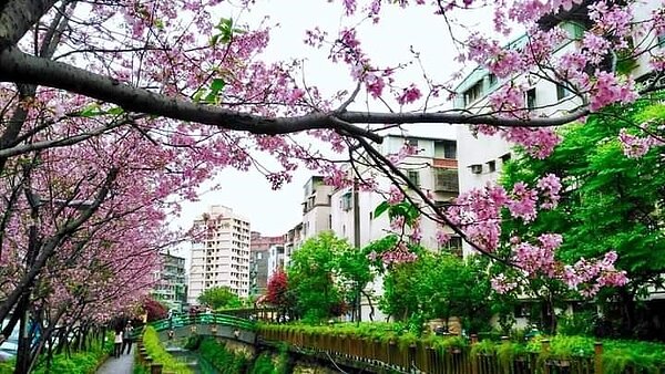 玩瘋中正里。圖／易小滿攝