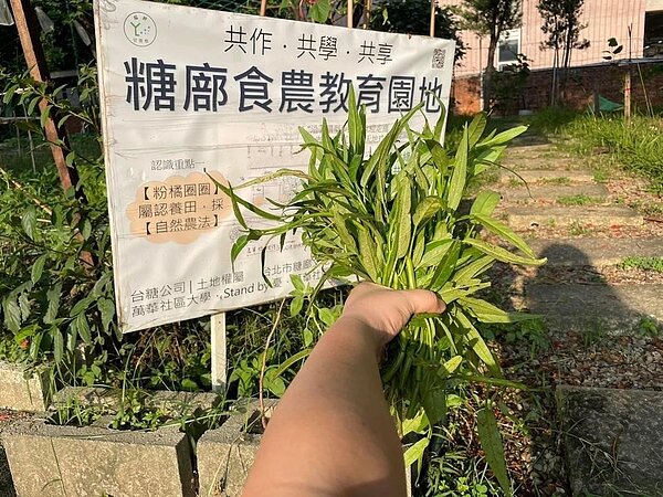 食農教育園地，寓教於樂。圖／葉玲瑜里長提供