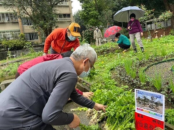 食農教育園地，讓更多人認識有機。圖／葉玲瑜里長提供