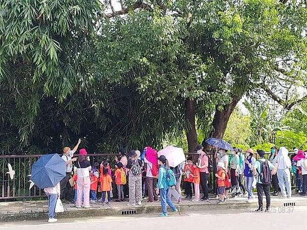 落實生態環保教育。圖／里辦提供