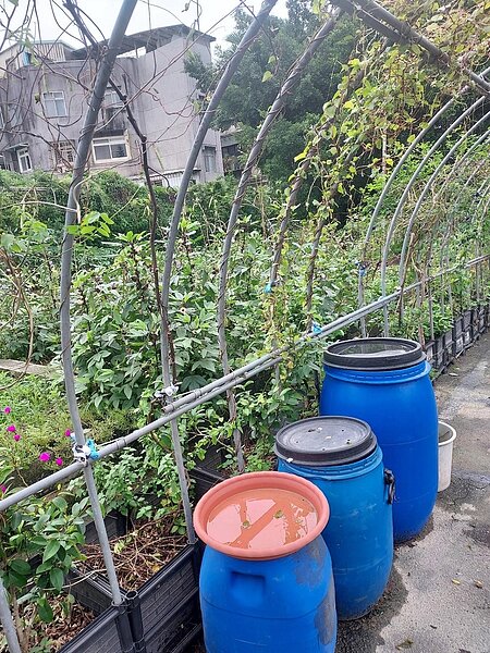 宜居美地，加入「美麗大頂埔聯合社區」。圖／易小滿攝