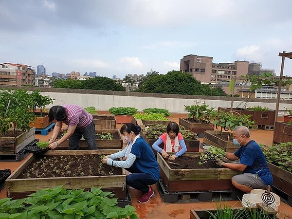 許惠城里長推動都市農作，打造低碳永續家園。圖／取自「雙園里＆崛江町」臉書