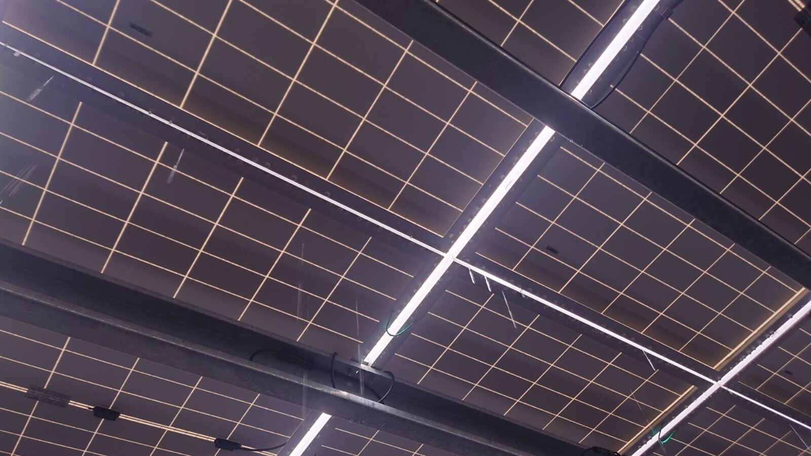 苗栗市北苗市場最近施工太陽能光電板屋頂，模組中間有縫隙漏雨，讀者投訴如何做生意。記者范榮達／攝影 