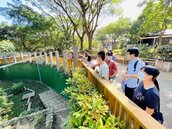 壽山動物園今年底將開園　動物的家變大了