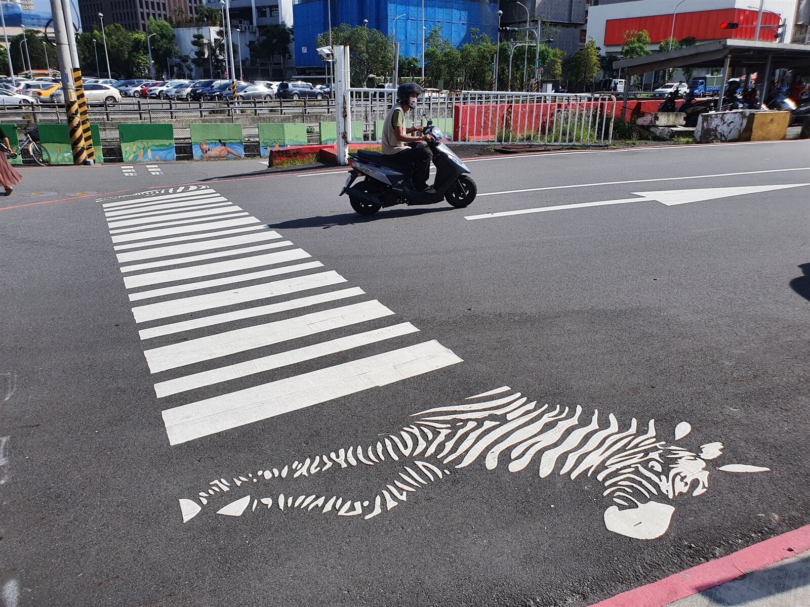 最近在臉書社團「路上觀察學院」掀起熱潮的斑馬線。記者李定宇/攝影