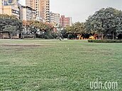 中壢中正公園地下停車場下月移樹施工　2024完工停345車