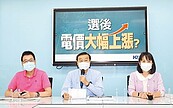 藍質疑電價將大漲？台電：由審議會決定