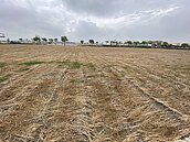 避炒地罵名　高市抵費地擬租不賣