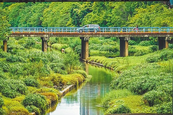 板橋湳仔溝經過整治後，已成為生態廊道。（新北市水利局提供／葉德正新北傳真）