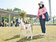 嘉市首座寵物公園明年3月完工