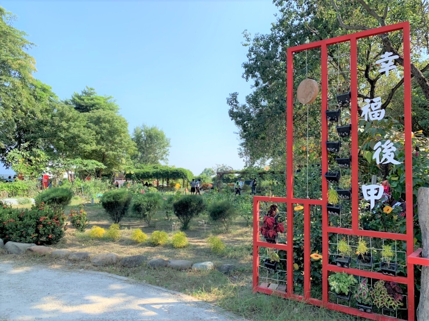 台南後甲社區認養荒地10年有成，變身為菜園及幸福花園。記者吳淑玲／攝影 