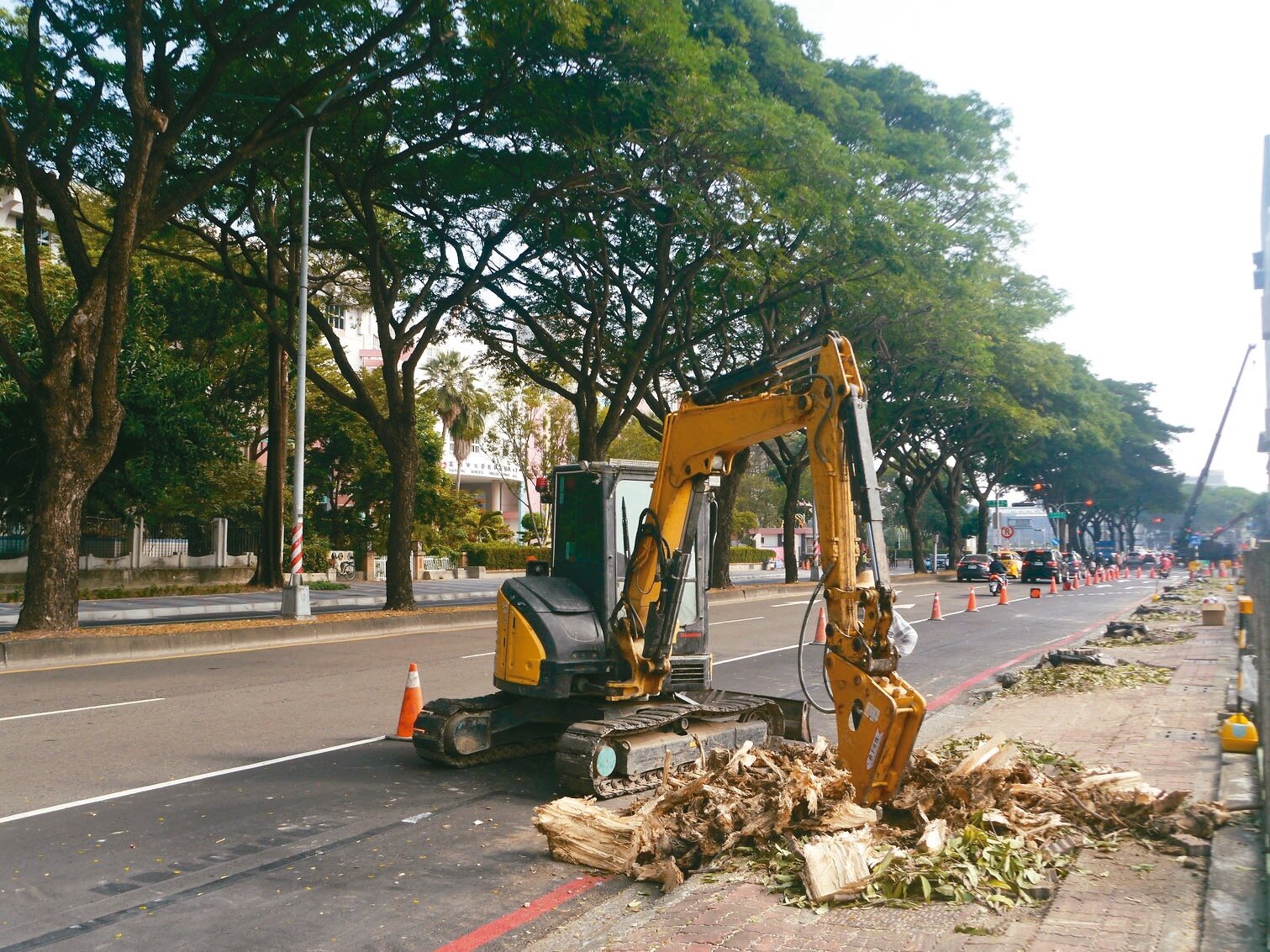 高雄輕軌即將進入下一階段施工,大順一路至三路路邊停車格陸續塗銷,施工單位正在挖除人行道路樹,地方憂心將進入交通黑暗期。記者徐白櫻/攝影