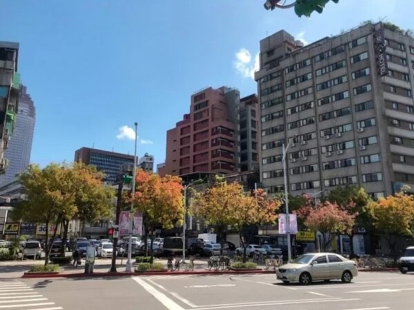 西門町中華路一段人行道上的黃連木葉片已經由綠色逐漸轉為黃、橘、紅等顏色，相當美麗。圖／北市工務局提供