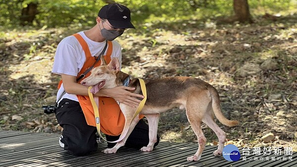 ▼高市持續針對各處流浪犬熱點加強族群管控作業。（圖／記者 許高祥 翻攝）