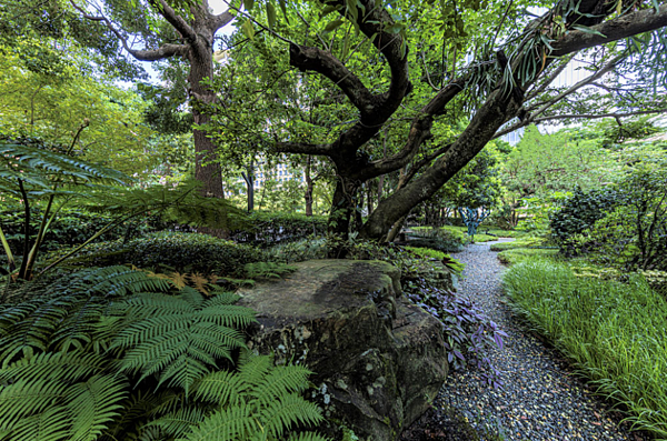 打造已逾十年的「陶朱隱園」,持續優化公設,最新進度是,先前開挖的庭院小溪,將於農曆年前完工。圖/中華工程提供