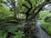 陶朱隱園驚人庭園曝　造瀑挖溪養1米長錦鯉