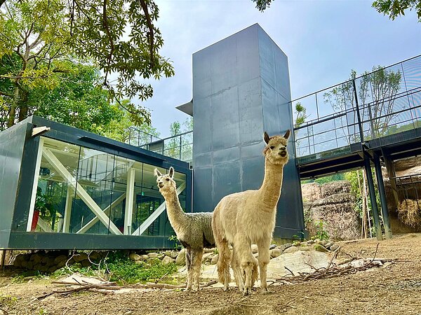 壽山動物園12／16試營運。圖／高雄市觀光局提供