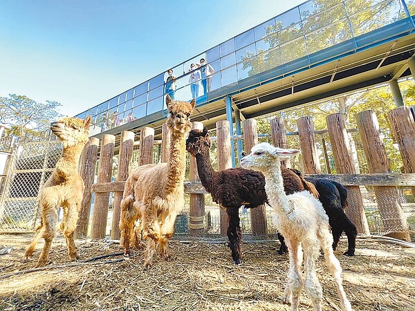 高雄壽山動物園將於16日試營運，為了提供更好的參觀環境，高市府觀光局及園方在重新開園前，特別邀請相關團體搶先體驗園區景緻並執行壓力測試。（高市府觀光局提供）