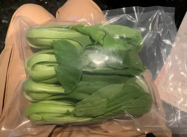 北市衛生局今公布今年執行火鍋料及冷凍冷藏專案抽驗計畫,其中5件蔬菜不合格。圖/北市衛生局提供