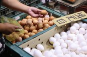 網友不解日本「1顆雞蛋5元」為何比台灣便宜　農委會：各國生產條件不同
