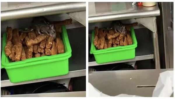 桃園豆漿店出現「料理鼠王」,嚇壞不少網友。圖/取自臉書社團「爆廢公社二館」