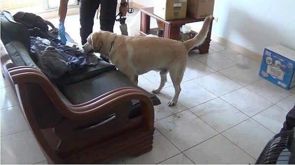 台北市信義區楊姓豪宅屋主(57歲),去年6月與弟弟在家會面後人間蒸發。記者廖炳棋/翻攝