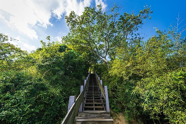 「明志書苑」基地鄰近義學坑自然公園。圖/明志書苑提供