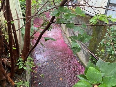 八寶圳大排水溝遭排放紅色廢水。圖／台中市環保局提供