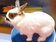 新北迎兔年　全國首創寵物兔納管登記