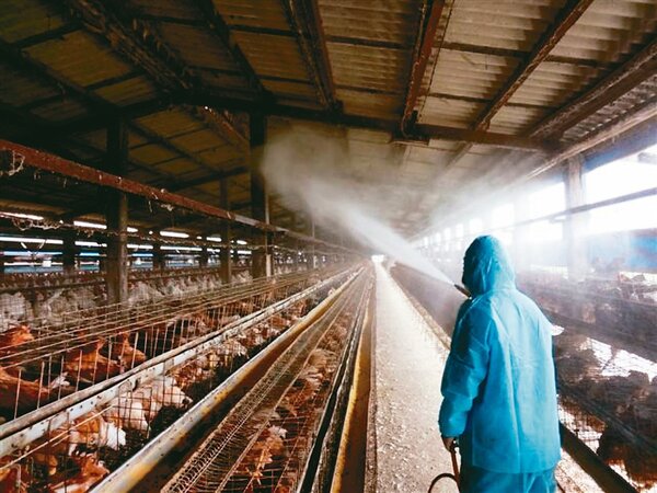 農委會防檢局發布彰化5禽場感染N5N1高病原性禽流感病毒，農委會和彰化縣都呼籲養禽場加強消毒工作。圖／彰化縣府提供