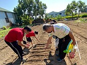 「這社區」獲衛福部城市夥伴獎！共食有機菜園化身開心農場