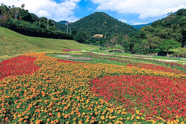 大溝溪生態治水園區萬盆花海。圖/台北市政府提供