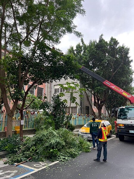 為防颱以及豪雨釀災，里長安排社區路樹修剪。圖／取自何英輝里長臉書專頁
