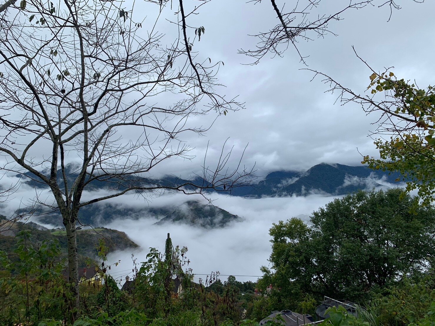 迎接合歡山元旦第一道曙光,不一定要衝武嶺,業者指出其實不如留在清境農場,不塞車還能看日出賞雪海。記者黑中亮/攝影