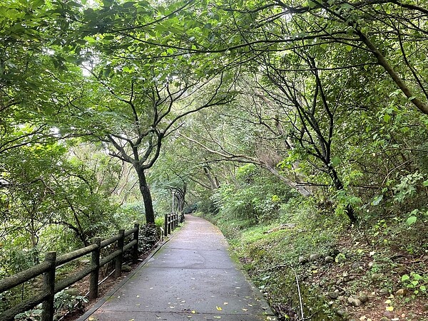 綠意盎然的森林步道。圖／新北市景觀處提供