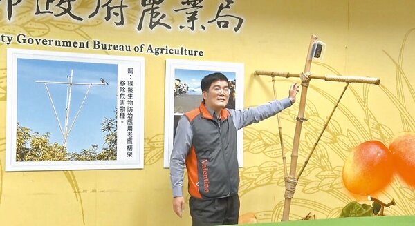 台南市政府農業局今年計畫應用老鷹棲架，透過生物防治來移除綠鬣蜥。（台南市農業局提供／張毓翎台南傳真）