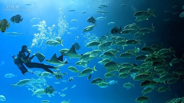 小旅行_國立海洋生物博物館1