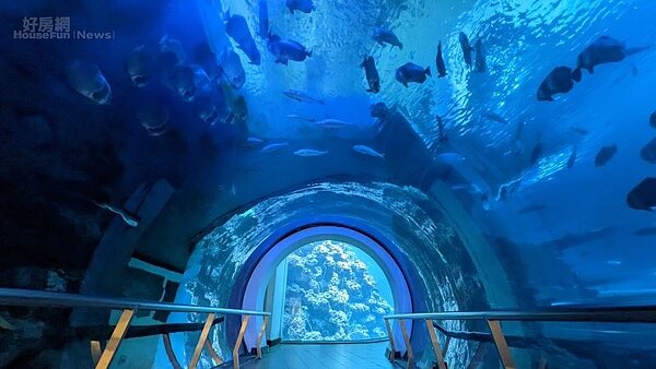 小旅行_國立海洋生物博物館2