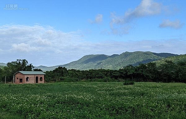 小旅行_開門見山樹屋咖啡4
