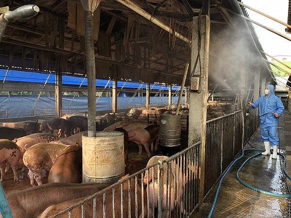 高雄市動保處呼籲豬場，應落實定期清潔消毒工作。記者王昭月／翻攝