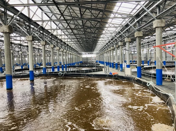 室內型漁電共生養殖場示意圖。聯合報資料照片