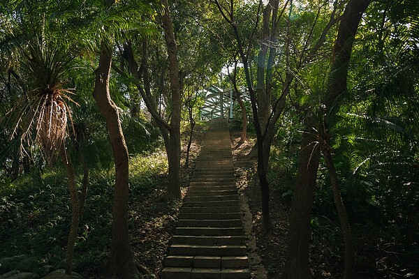 「城市覓徑」中和區錦和運動公園，林蔭蔥鬱的城市覓徑。圖／新北市政府提供