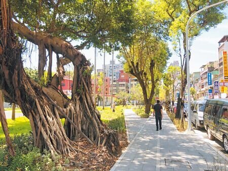 
新北市工務局與蘆洲空中大學攜手合作，開放校園提供約1976坪校地，作為人行環境及休憩空間。（陳慰慈攝）
